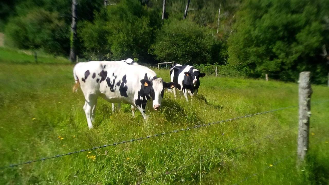 Hotel Rural Montesomao Somado Εξωτερικό φωτογραφία